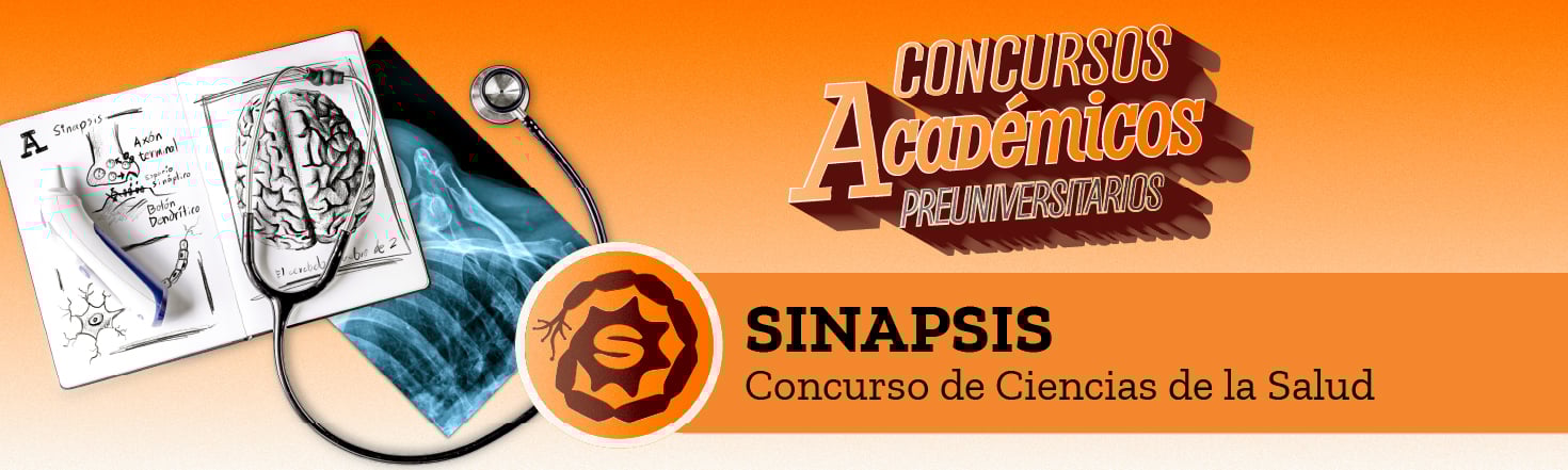 SINAPSIS