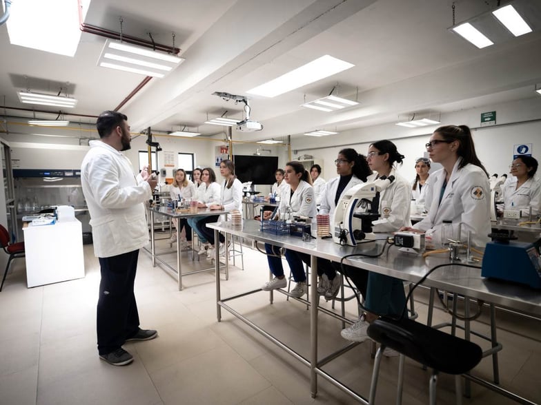 Ingenieria Quimica