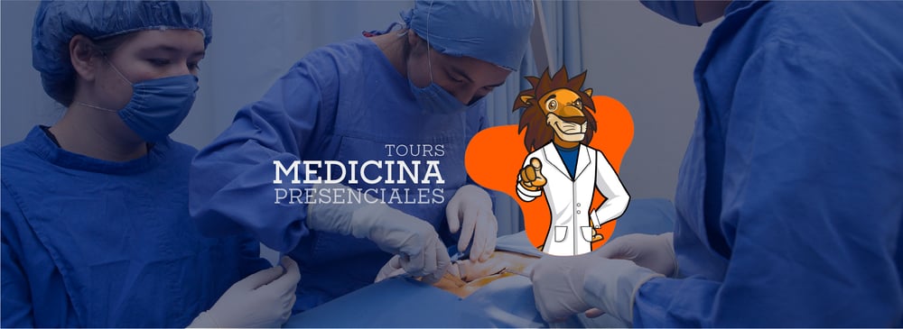 Header Tours Medicina