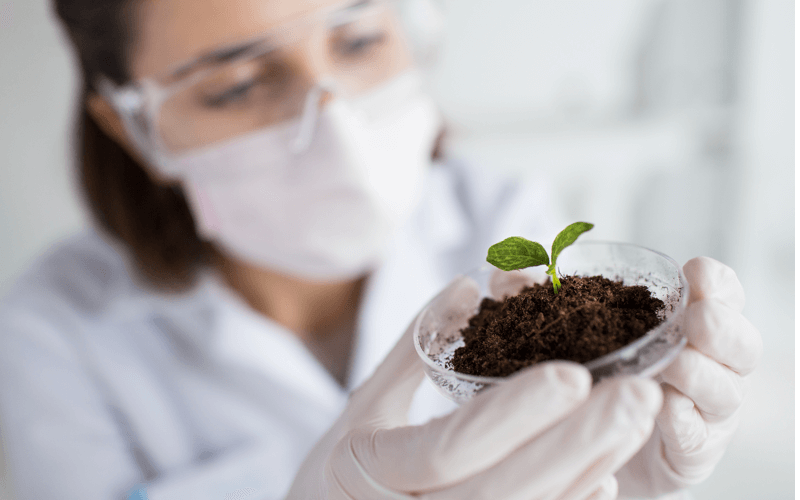Biotecnología