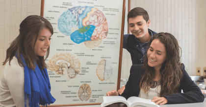 Especialidades de Psicología en México: ¿Cuáles existen?